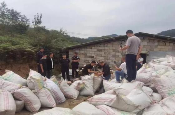 《女星翠娜·麦吉怀孕又流产的心路历程》