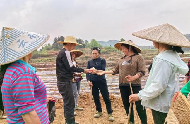 土耳其阿亚尼城堡出土古老青铜制品