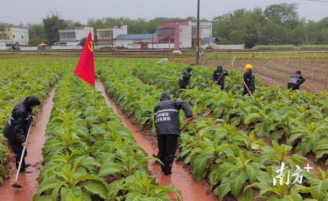 科罗拉多州最高法院就烘焙师拒绝制作蛋糕案的裁决