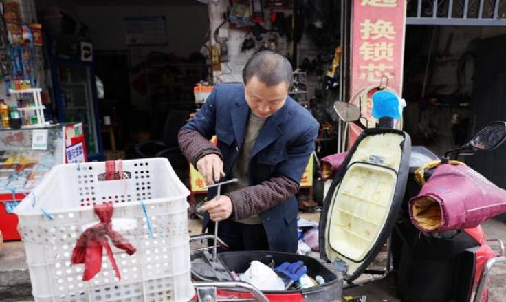 圣诞仙人掌浇水指南：何时浇水，如何浇水？