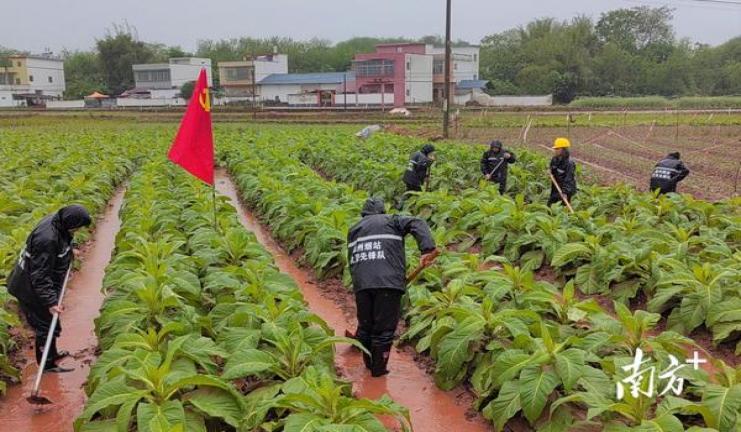 百老汇明星惊艳亮相时尚盛典，一抹亮色吸睛无数