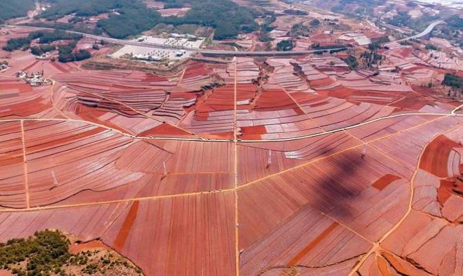 美国多地警方加强犹太社区及宗教场所巡逻