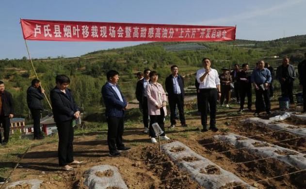 美国出现耐药猴痘病毒株，或导致现有药物失效