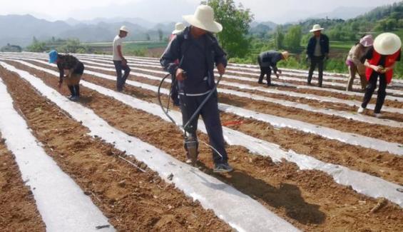 寻找秋季的完美外套：从经典风衣到时髦夹克，找到你的秋季必备单品！