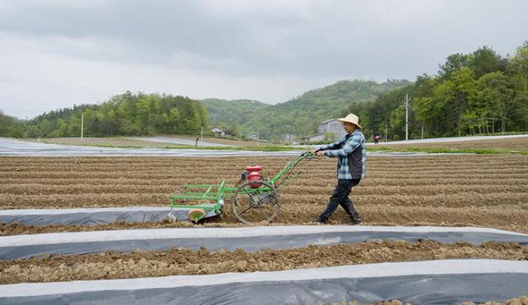 关于美国社会保障福利税收的解读