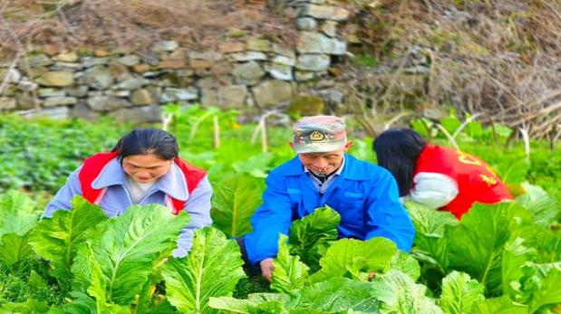 15道美味的秋冬季节沙拉，让你告别单调的冬季餐桌