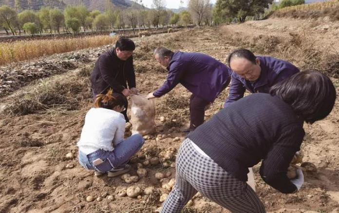 马萨诸塞州投资公司推动宝洁披露薪酬差距